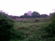 team building courses